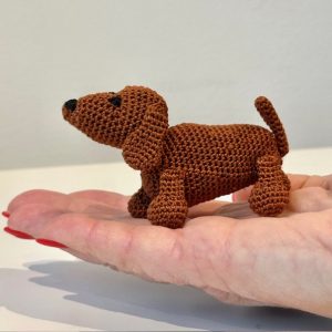 Django the Worry Dog